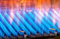 Treworrick gas fired boilers